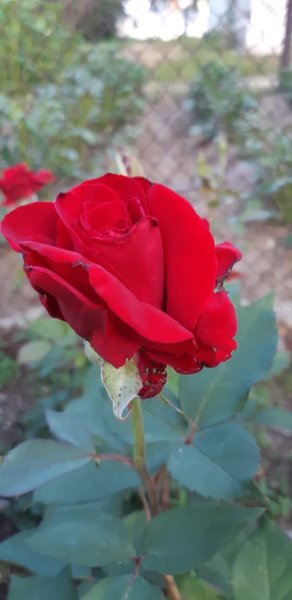  ******** - 28  2020  12:57 - 8