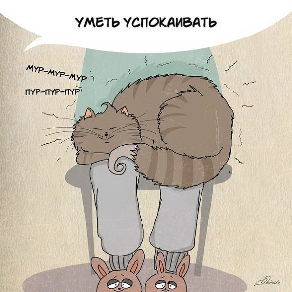 1 мapта отмeчается Дeнь кошeк. Нaм eсть чeму поyчиться у шeрстяных засрaнцев: - 5