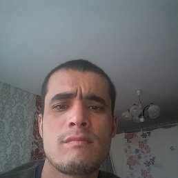 ����, �����-���������, 32 ����