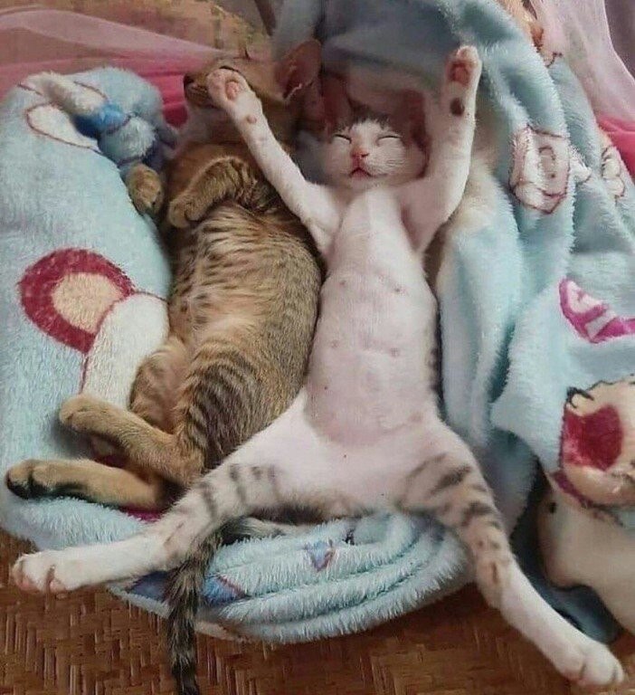 :     - 2