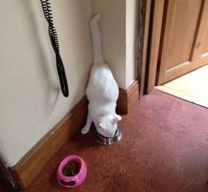   : 1.     ? 2.     ? 3.  ... - 9