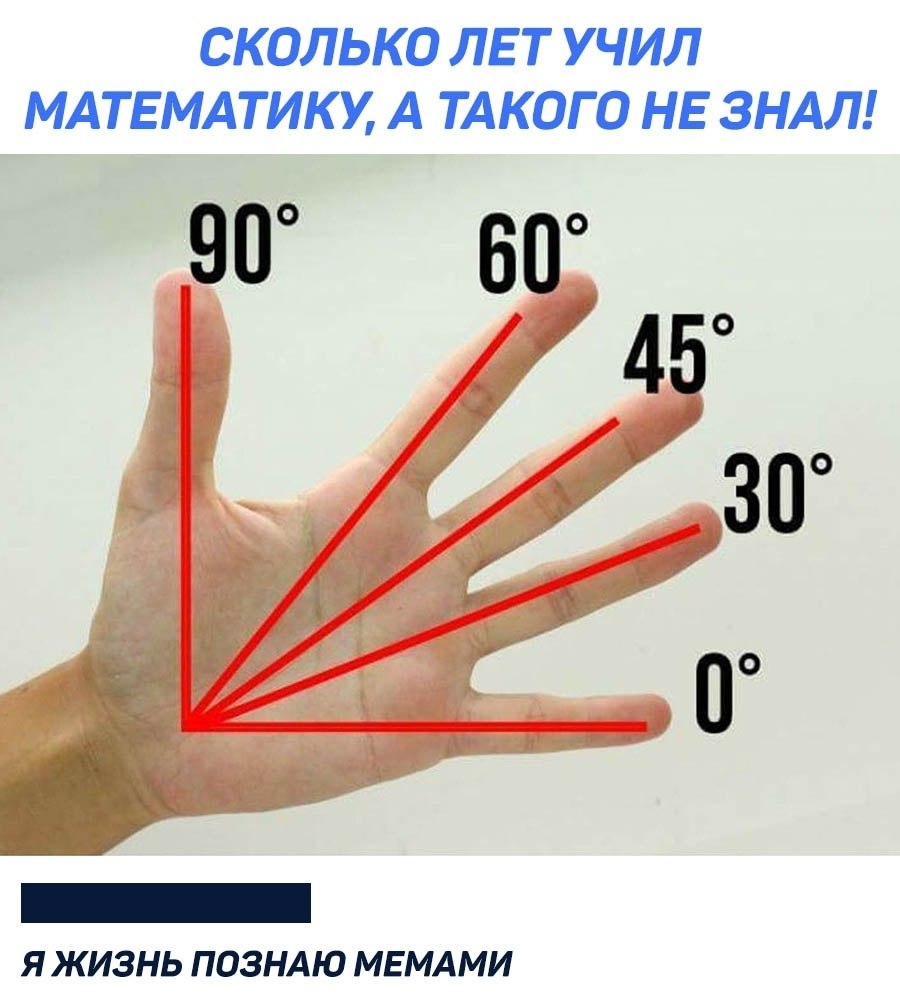 y a e y