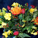 ���� ___����, �������� - ��������� 18 ���� 2020 � ������ �������