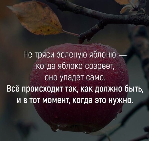  ,  .© - 2  2021  15:52