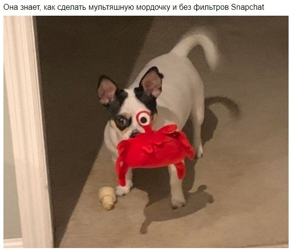 , oo       - 7
