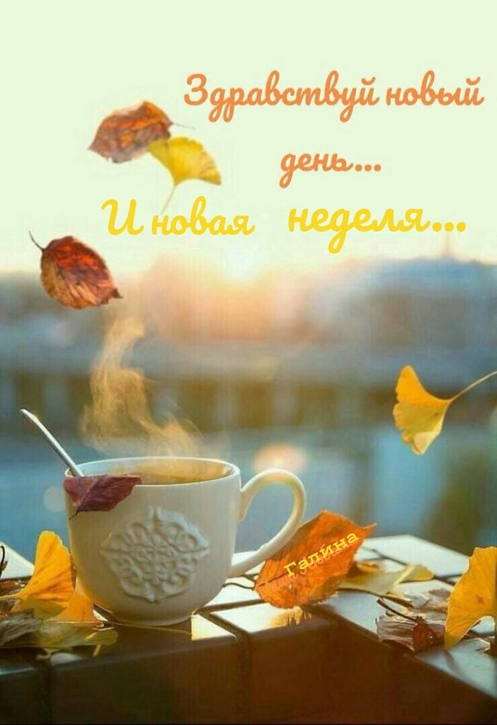   ,    . - 27  2020  23:57 - 2
