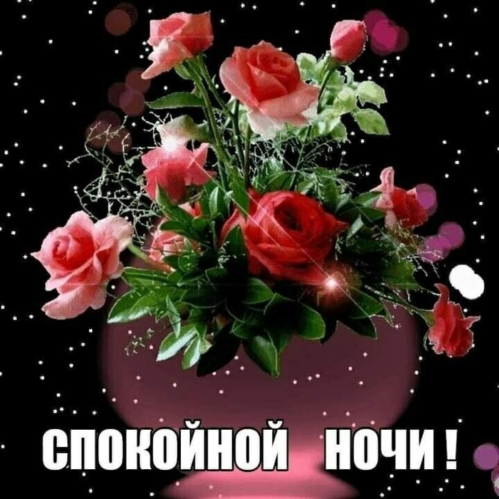   ,    . - 11  2021  22:41 - 10