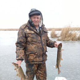 ���� ������, �������������� - ��������� 16 �������� 2020