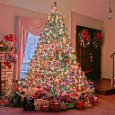 ���� &hearts;����&hearts;, ����� - ��������� 2 ������ 2021 � ������ ������ ��������