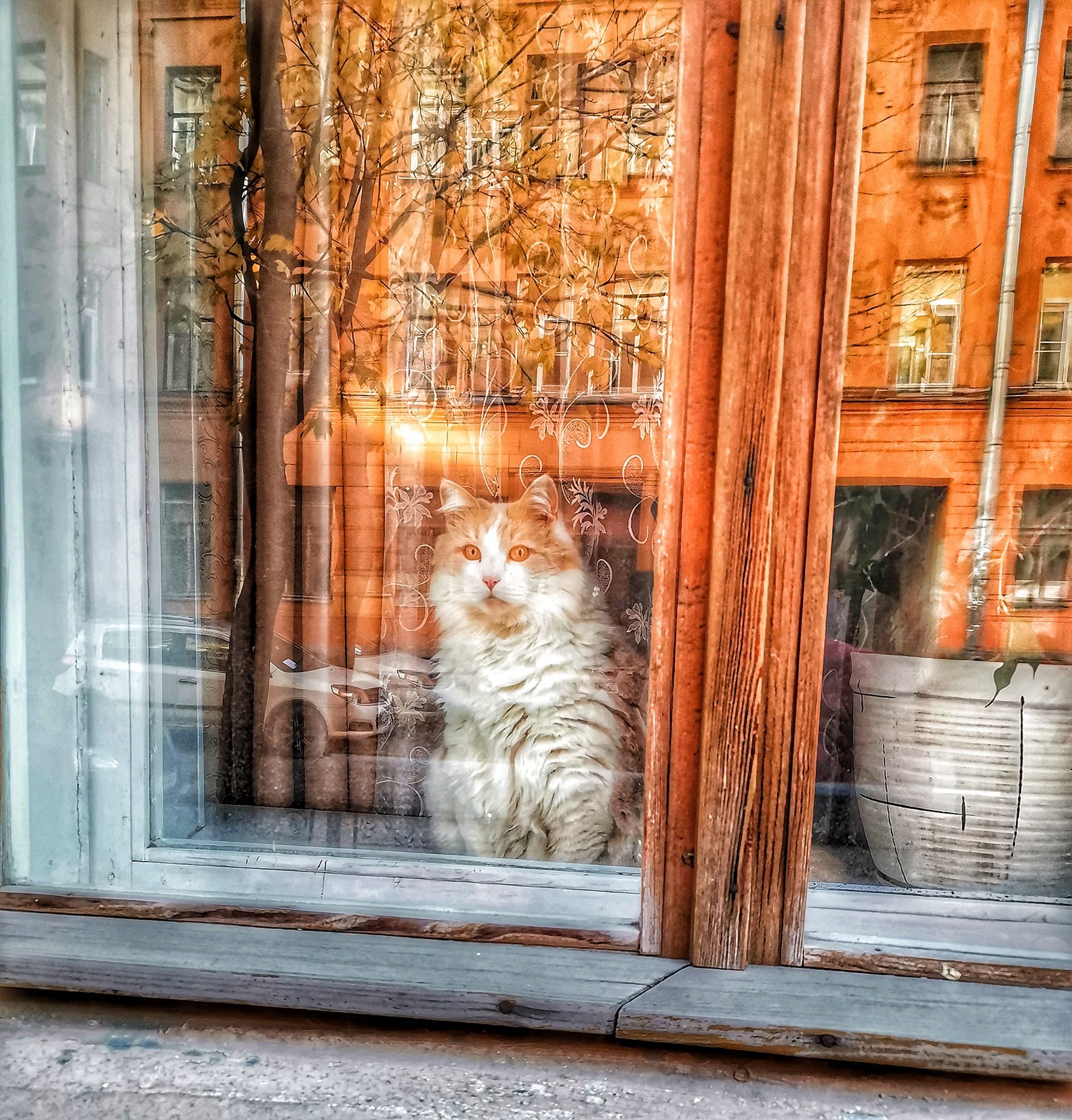Нам сейчас не то, чтобы непросто...нам непонятно, и местами страшно... А это два самых нежелательных ...