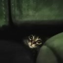 ���� ��������, �����, 59 ��� - ��������� 4 ������ 2020 � ������ ���� ����������