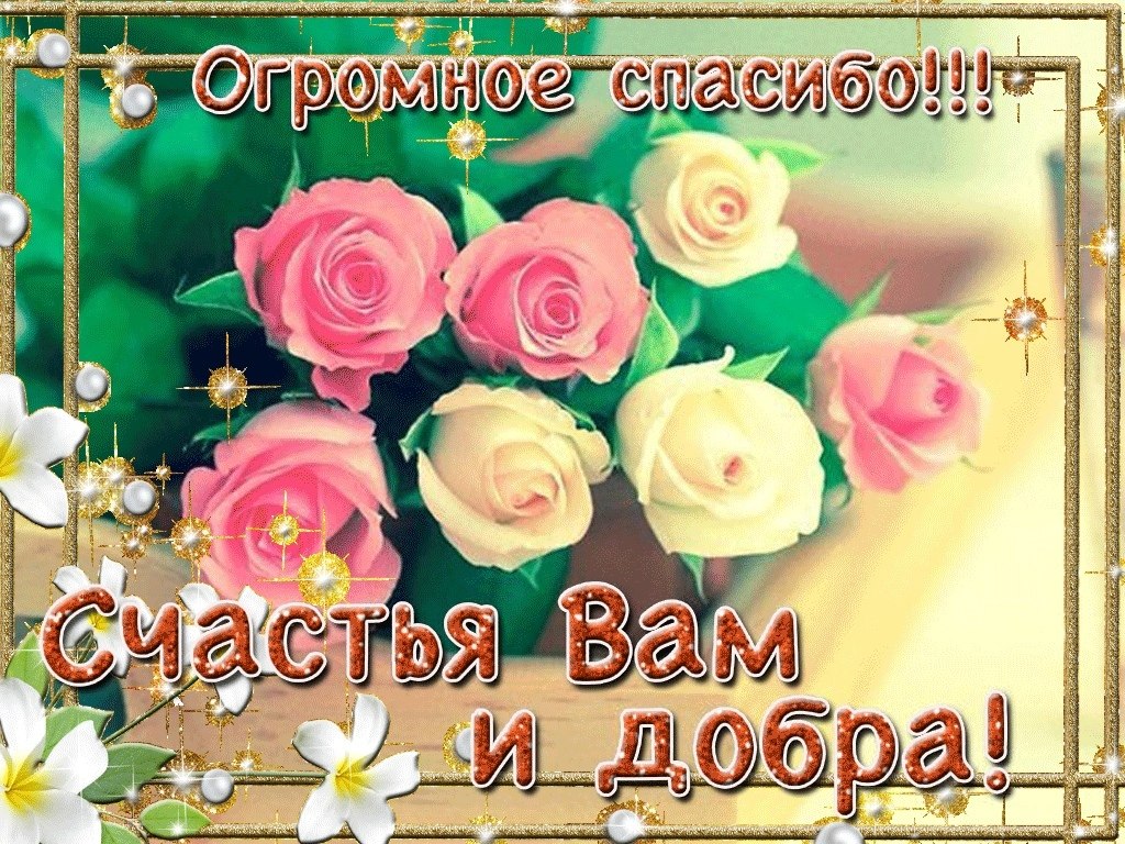   ,    . - 16  2020  21:24 - 8
