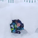 ���� ����, �������, 37 ��� - ��������� 28 ������� 2021 � ������ ���� ����������