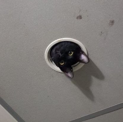 E  ap  ao  e  c coo a,    a,  o  ee  pe. - 3