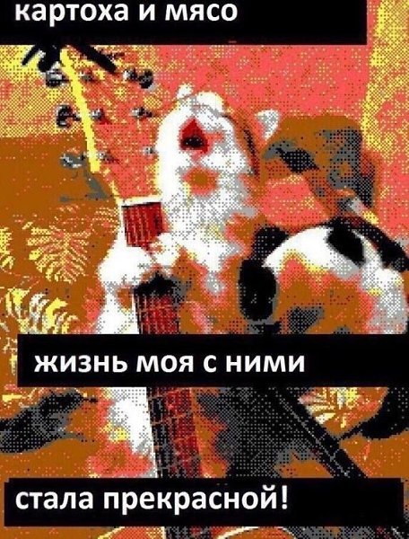 Кот ооо