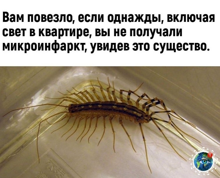 e    apaa. 