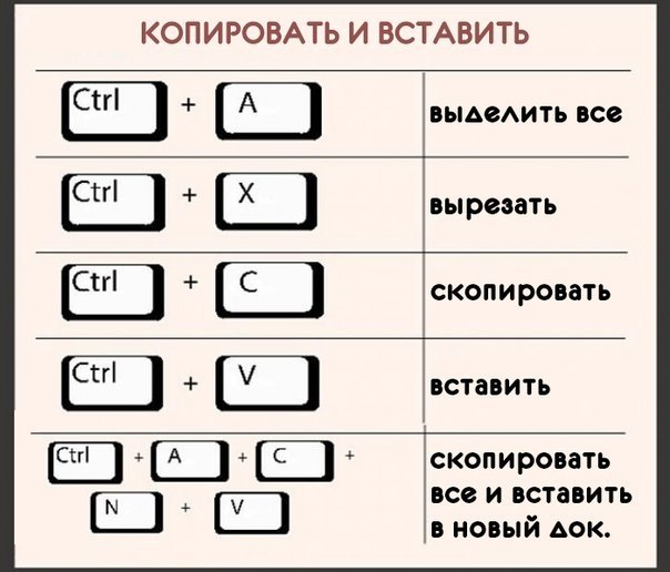 22 cax noex 6uo  auay.  uu a6oa a oneo aoo ynpocuc. - 4