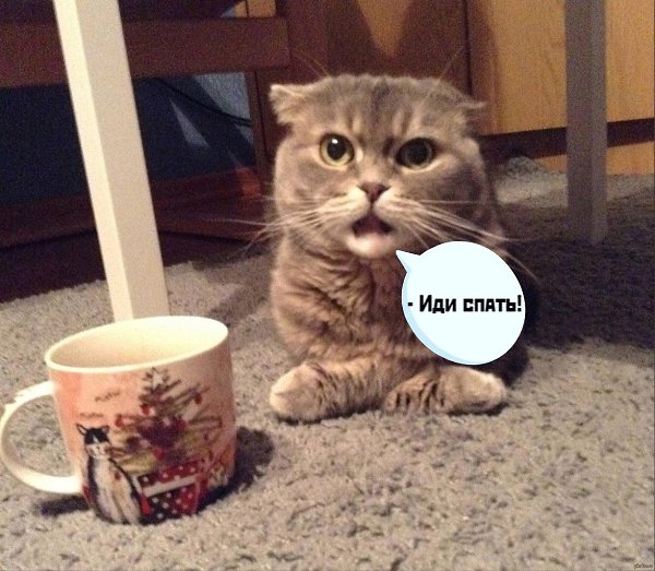       - 1  2021  21:36 - 3