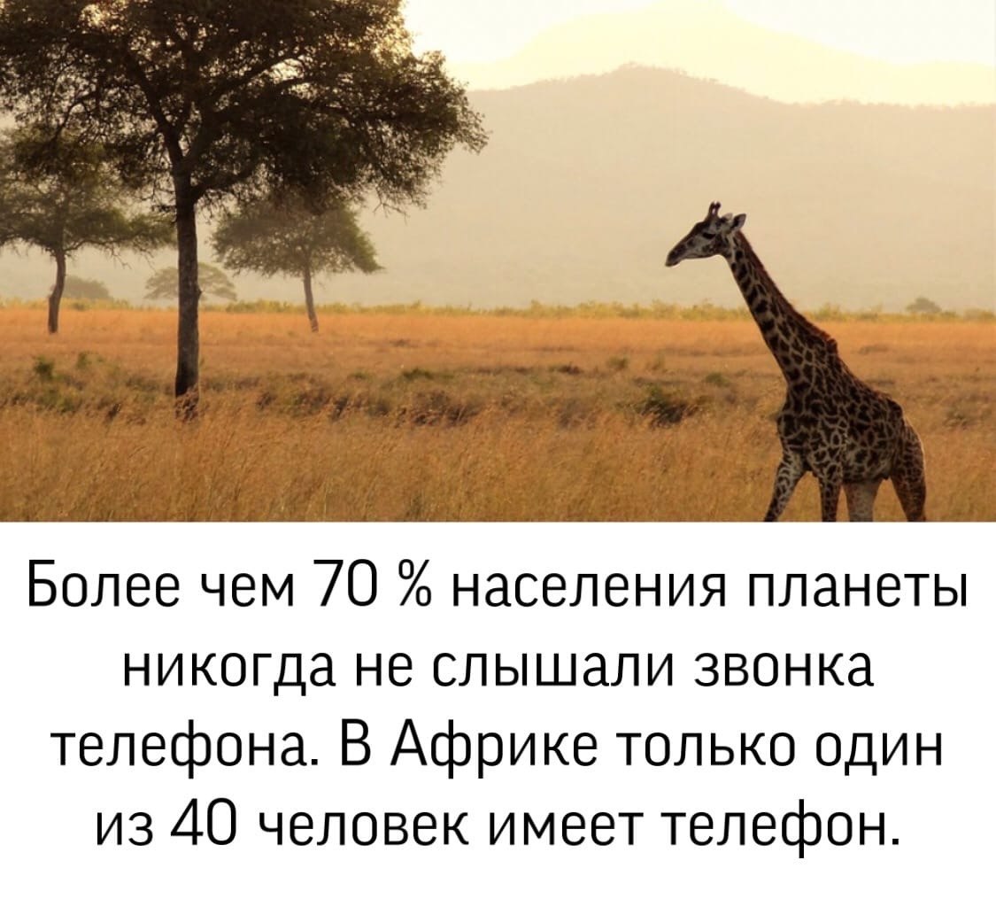 BEST | , ,  - 23  2021  15:01