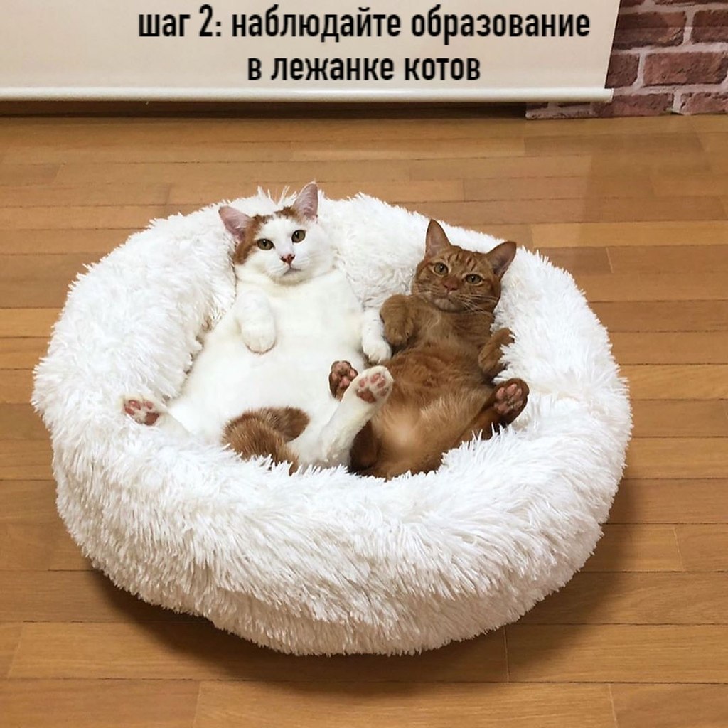        -  ,   )) - 2
