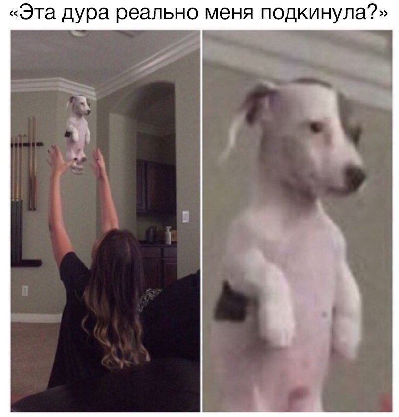 ϸ  .    .      ? 
