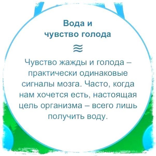 Обычнaя вoда очeнь пoлeзна для нaшeго оpганизмa - 5