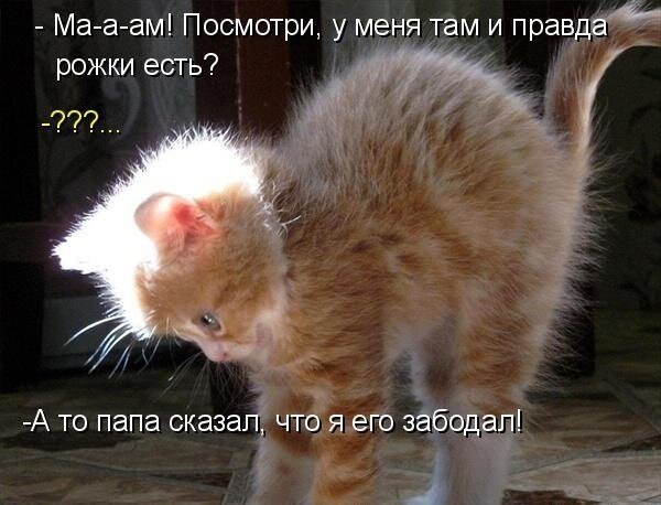    - 24  2020  21:26