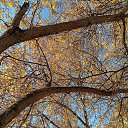 ���� �����, ������, 48 ��� - ��������� 3 ������� 2020 � ������ ������ 2020�