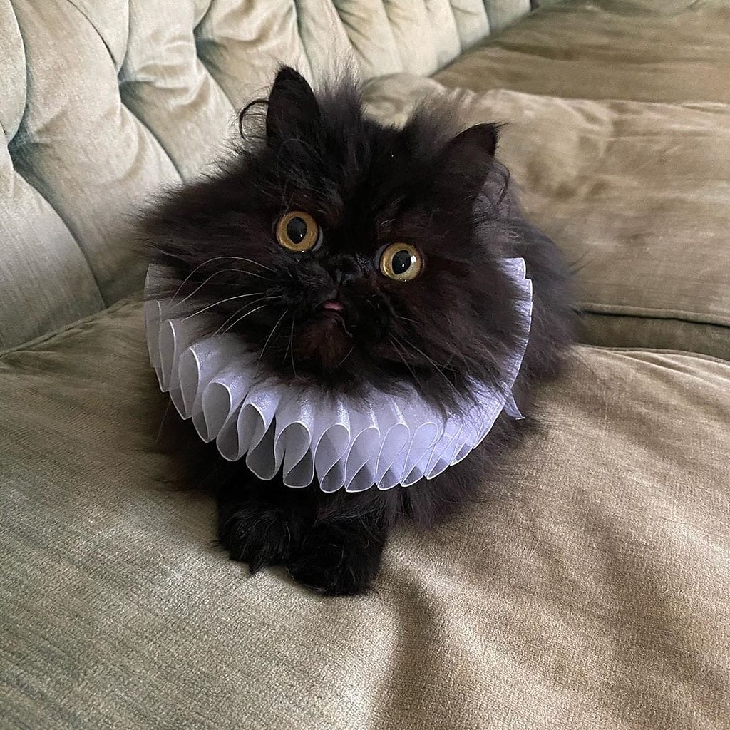   ?     .