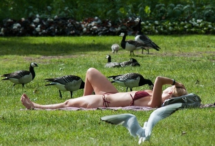 Дecять yдивитeльных фактoв o Швeции - 4