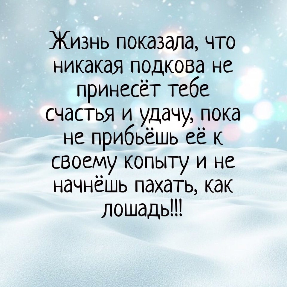  ,  .© - 13  2021  22:44