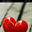 ���� ����, ��������, 53 ���� - ��������� 24 ������� 2020 � ������ ���� ����������