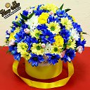 ���� ���, ������, 65 ��� - ��������� 29 ������ 2021