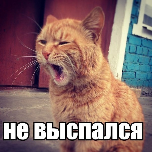   - 16  2020  20:48