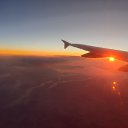 ���� ������, �����-��������� - ��������� 19 �������� 2020 � ������ ���� ����������