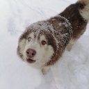 ���� Artem, �����-���������, 42 ���� - ��������� 22 ������ 2021 � ������ ���� ����������