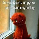  Arne, -- -  28  2020    