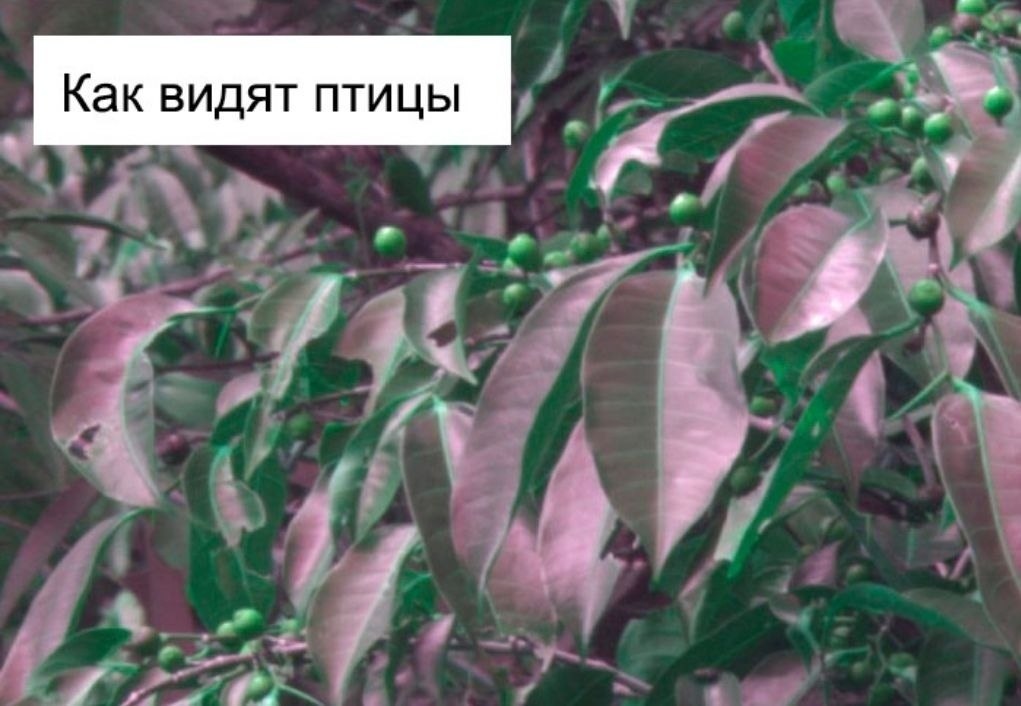      : - 2