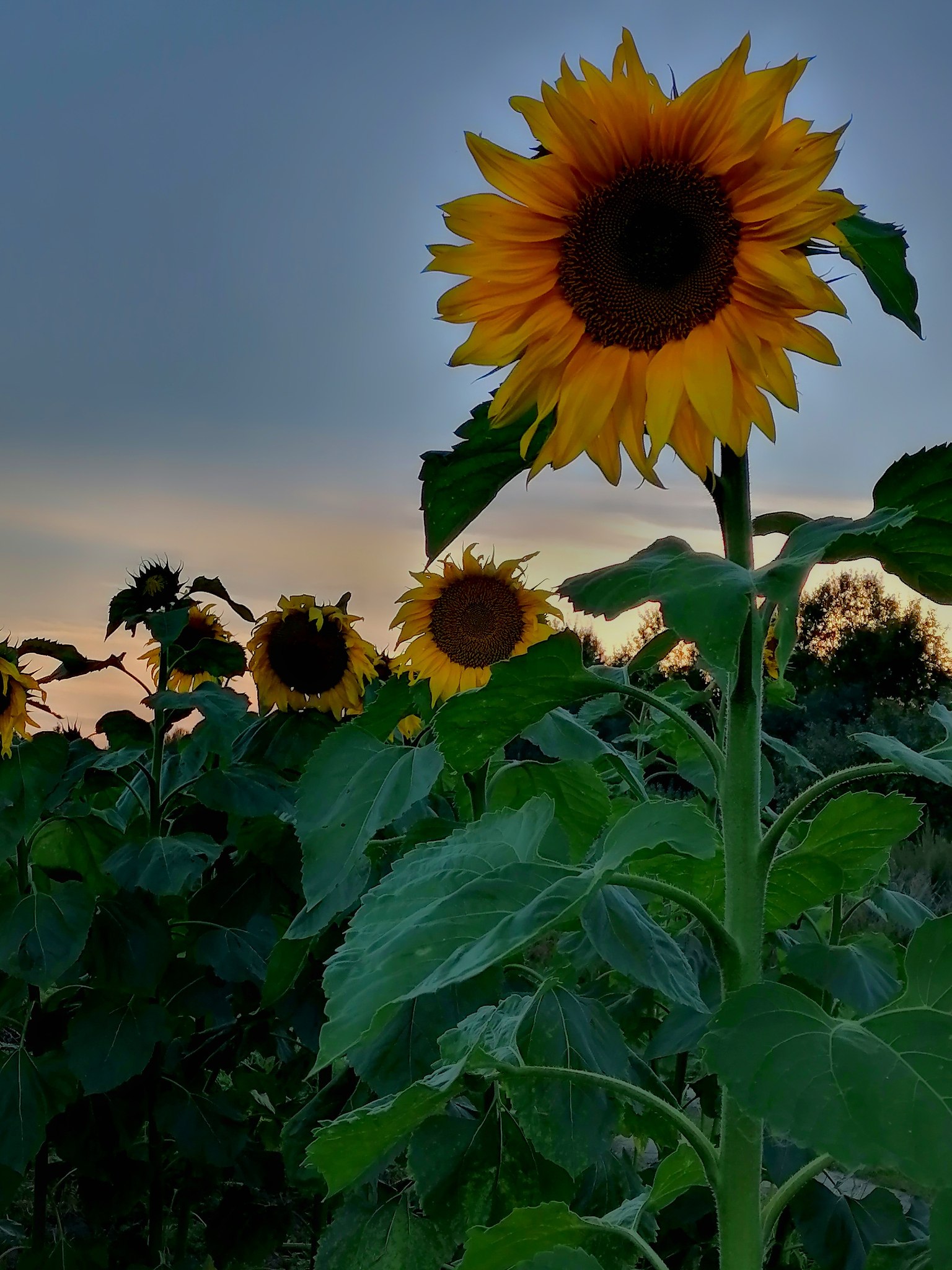 ���� ��������� - 23 ������� 2020 � 07:30