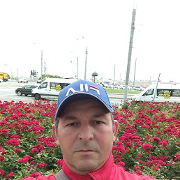 ����, �����-���������, 57 ���