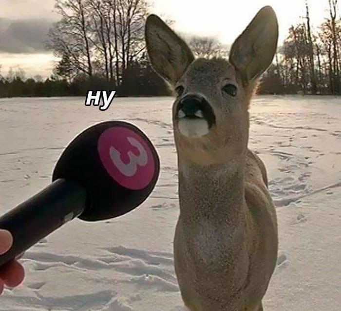 ,  , -  :