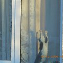 ���� ����, �����-��������� - ��������� 12 ������� 2020 � ������ ���������� ����!�