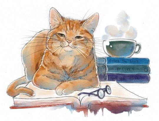 Тяжелейшее занятие на свете - превращать в драму обыкновенные человеческие истории, друзья мои... ...