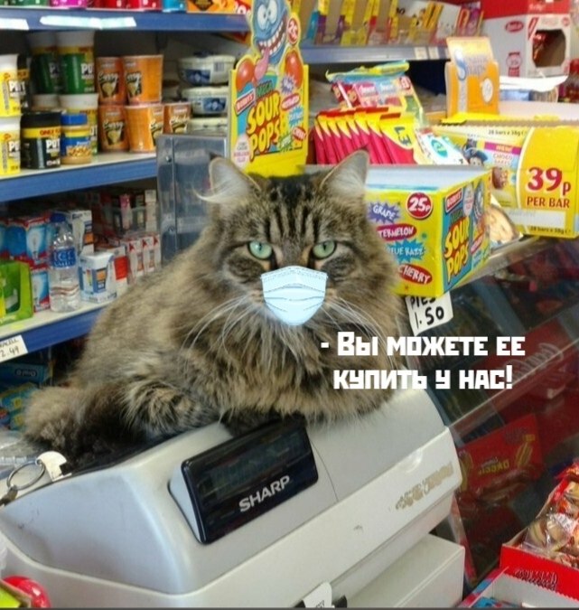 ))) - 3