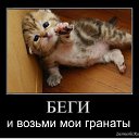 ���� ������, ���������� - ��������� 22 ������� 2021 � ������ ���� ����������