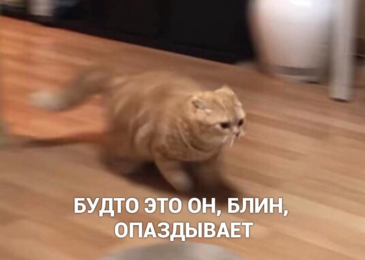   --.... - 2