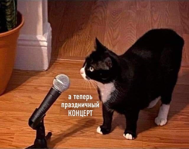  : * *.: