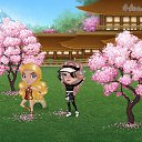  , , 32  -  25  2020   Tropikania