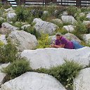 �������, ���� 2020, ������� ����� ����������� ����� �� ������� ���� ����������