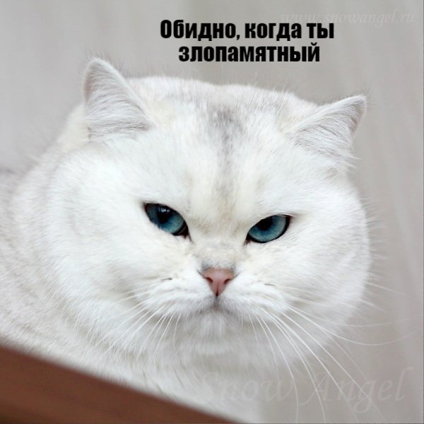       - 27  2020  18:53